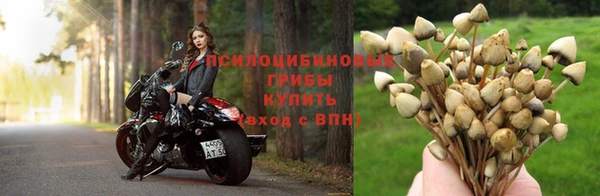 скорость Вязьма